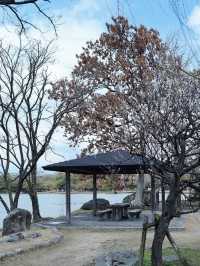 景色優美大濠公園全攻略🥰超級吸引❤️