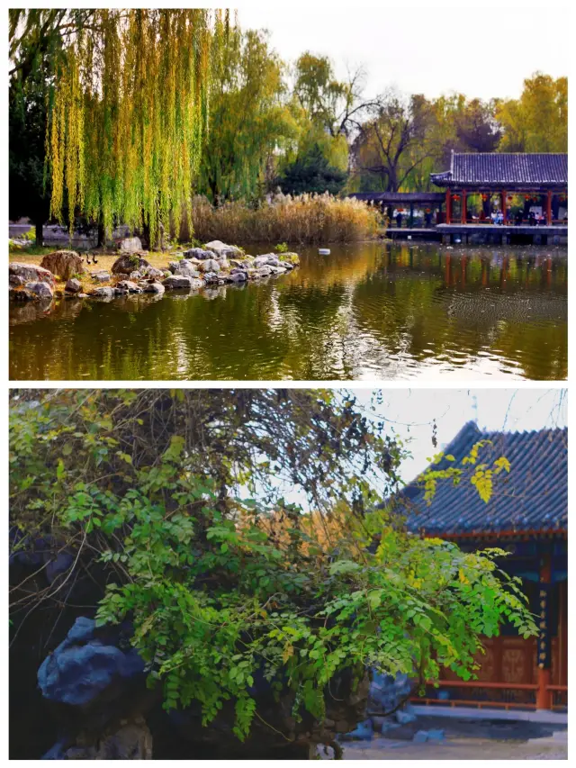 大觀園讓人陶醉的花園勝似仙境