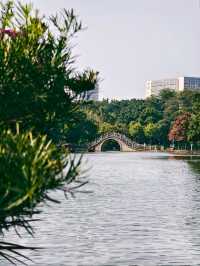 周末沒地方去 就來這個嶺南風十足的公園吧