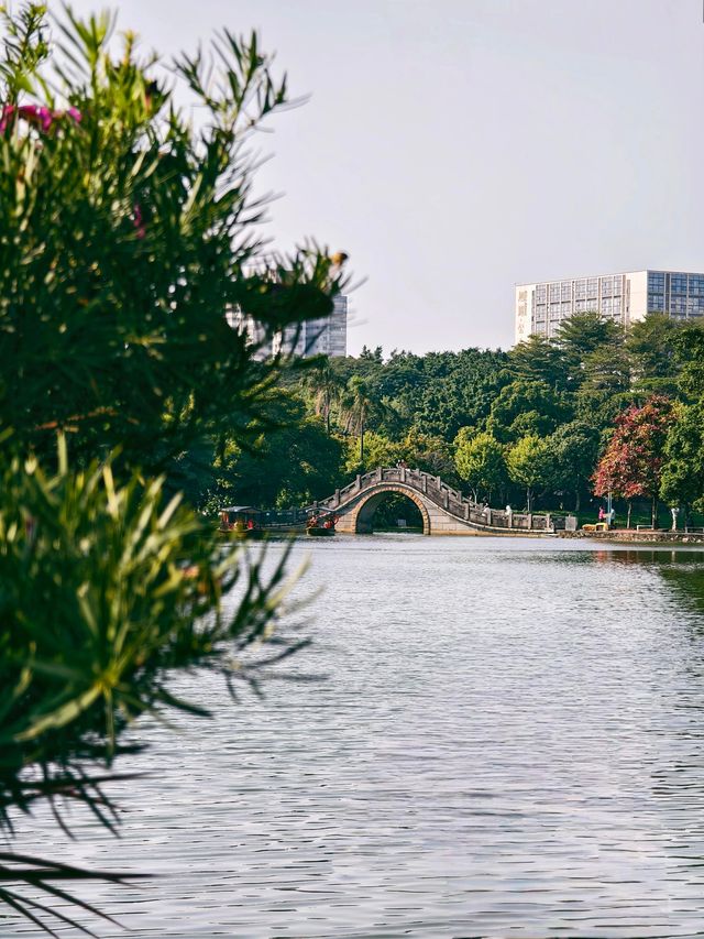 周末沒地方去 就來這個嶺南風十足的公園吧
