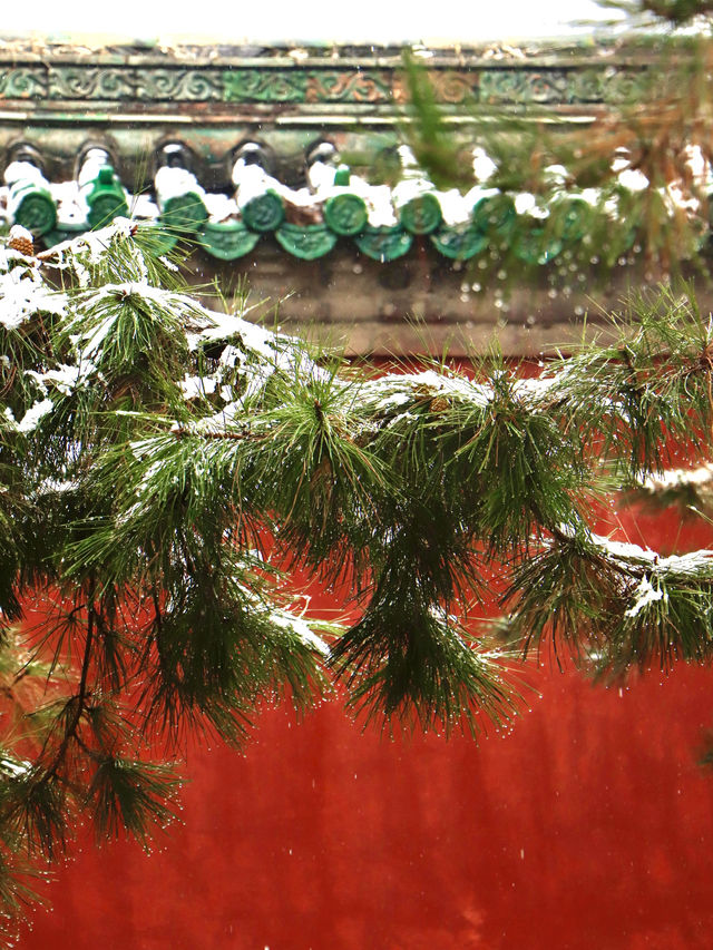 下雪後的地壇，簡直就是中式美學的巅峰