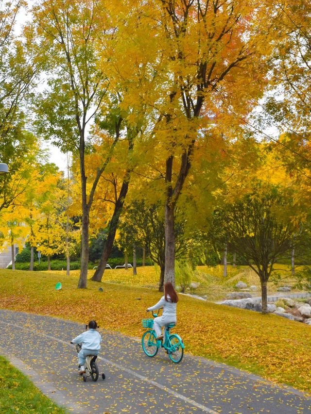 成都單車之旅，我願稱之為最美綠道公園
