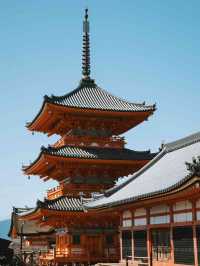 5天玩遍日本超詳細攻略速收藏