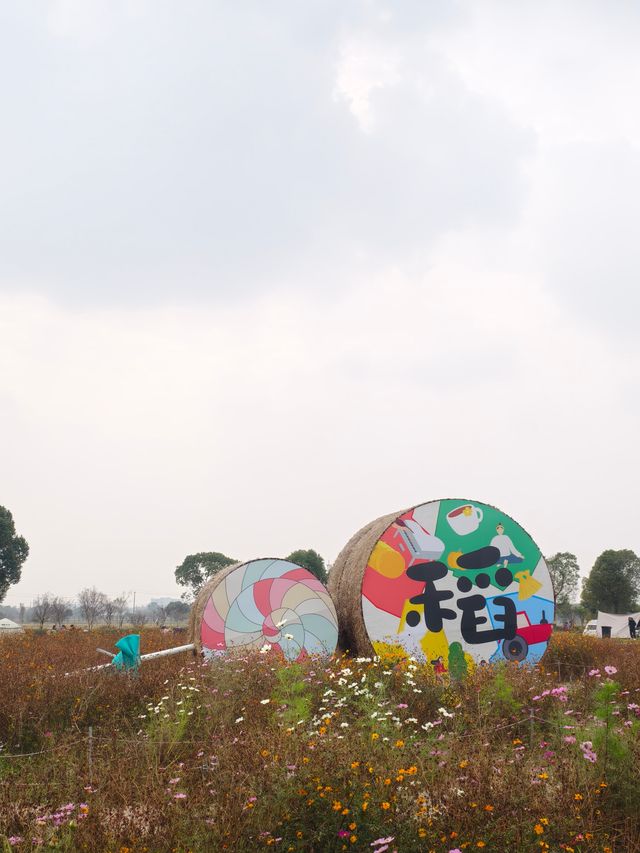 週末不知道去哪裡就來嘉北郊野公園放鬆下心情吧！