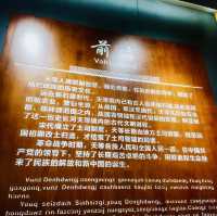 打卡廣西天等縣博物館