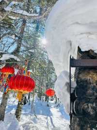 長春-延邊滑雪看這篇就夠速速碼住
