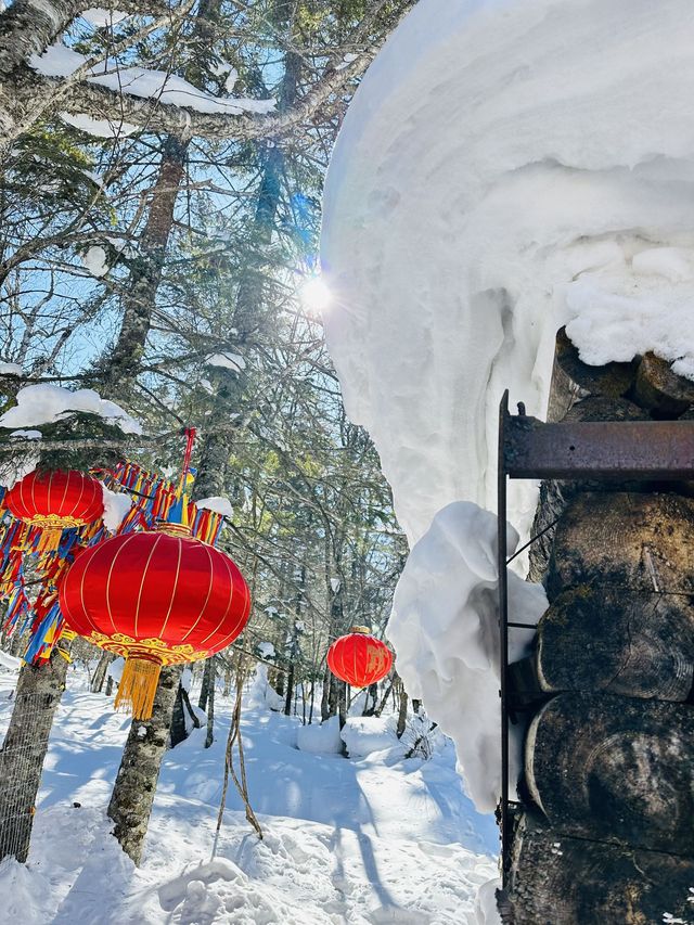 長春-延邊滑雪看這篇就夠速速碼住