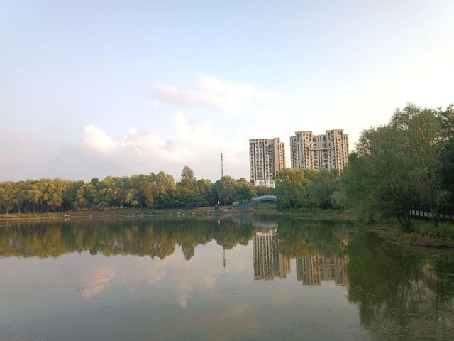 撫順月牙島生態公園：城市中的詩意綠洲