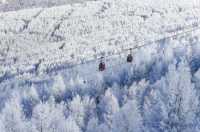 崇禮五大雪場該怎麼選看這一篇就夠了