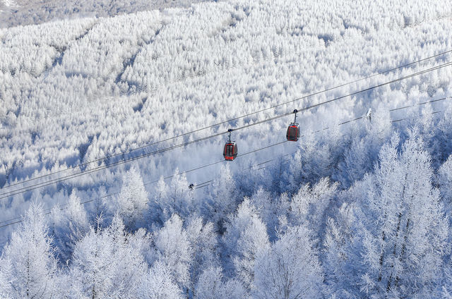 崇禮五大雪場該怎麼選看這一篇就夠了