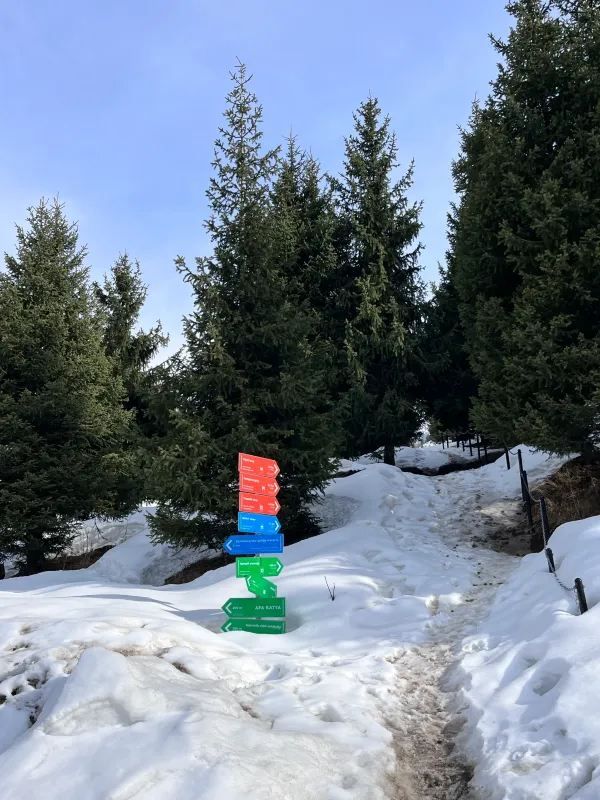 Climb a Snow Mountain for half a Euro! Half-Day Hike in Almaty's Shymbulak