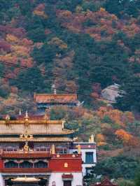 遼寧阜新|海棠山•浪漫與大自然撞了個滿懷