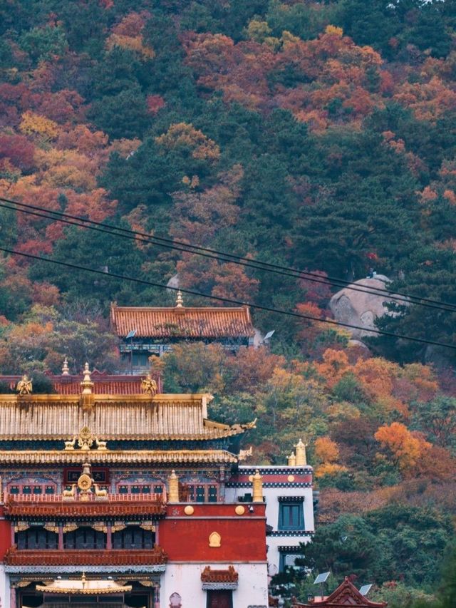 遼寧阜新|海棠山•浪漫與大自然撞了個滿懷