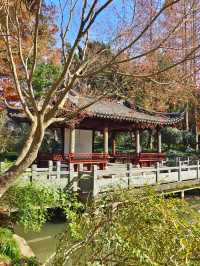 今年來晚了 紅園 可你還是那麼美