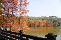佛山三水森林公園