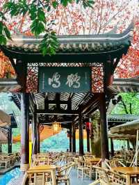 在四川成都，感受人民公園的悠閒生活氛圍