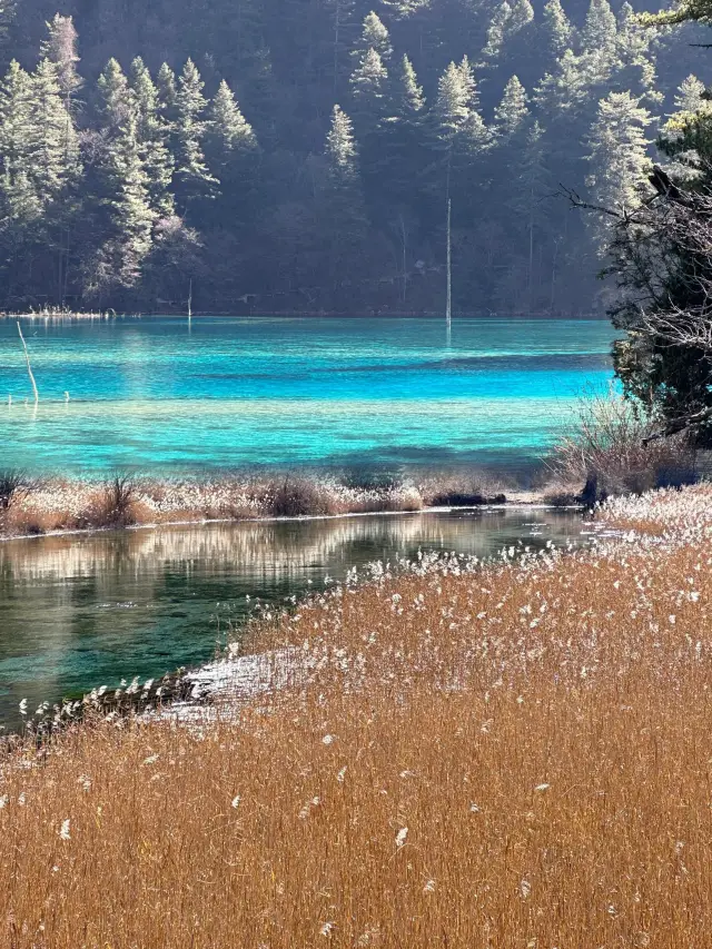 Jiuzhaigou 2-Day Travel Guide | Breathtakingly Beautiful