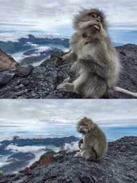 征服人生第一座火山！