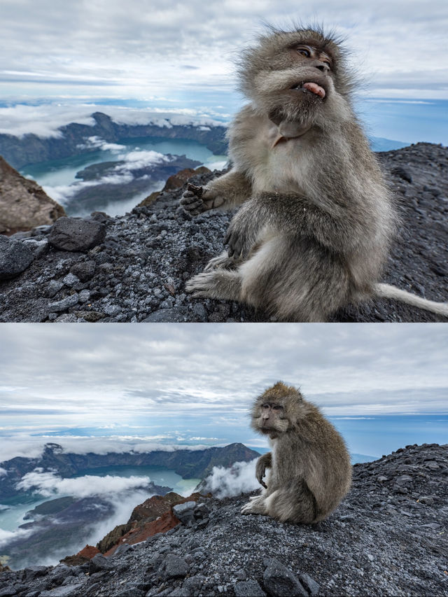 征服人生第一座火山！