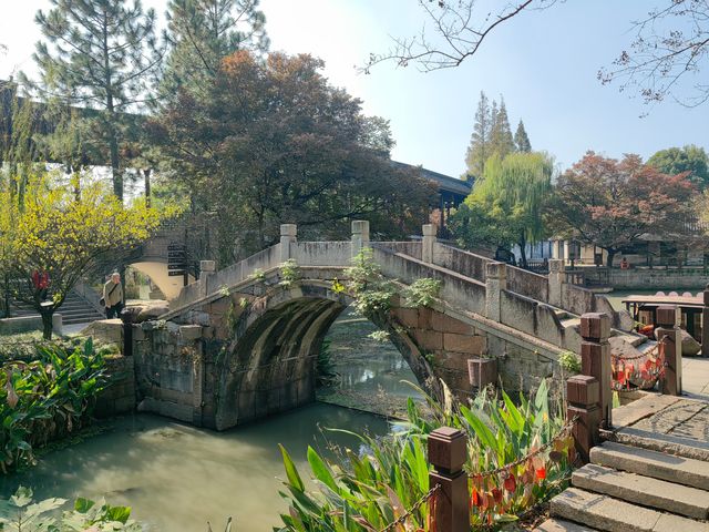 浙江嘉興梅花洲景區
