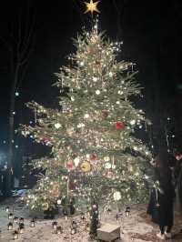 Experience the Magic of Christmas at Karuizawa Kogen Church