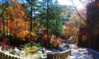 妙香山