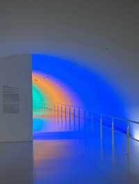【休斯頓美術館」MFAH 】