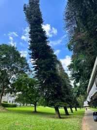 Exploring the Royal Botanic Gardens in Kandy, Sri Lanka