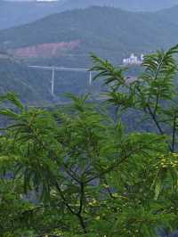醉心山水間，邂逅三潭之美