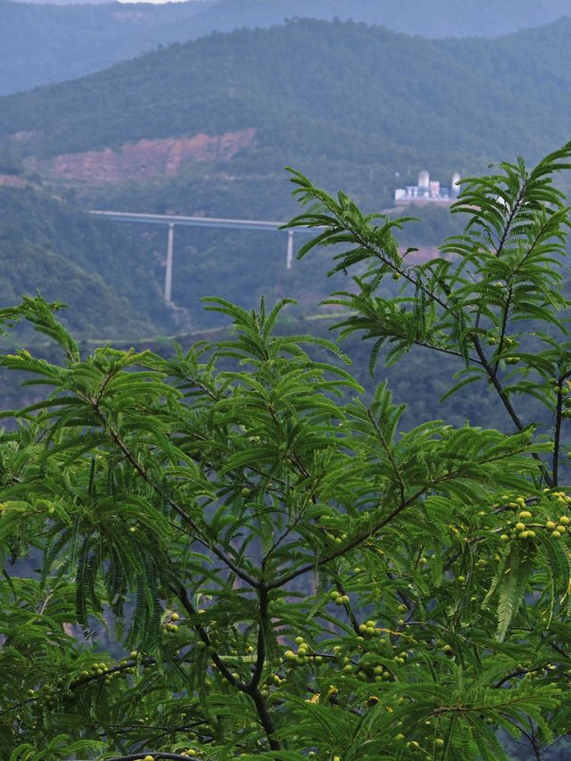 醉心山水間，邂逅三潭之美