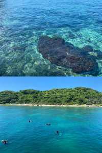 真好玩～ 北海潛水 | 探秘海底的奇幻之旅