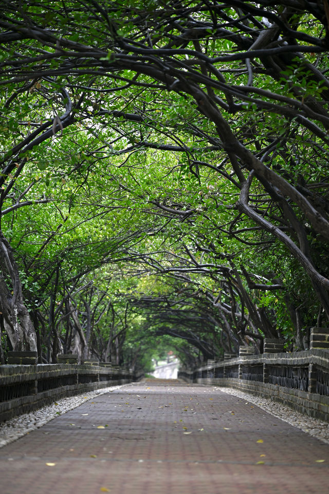 煙台山景區 | 濃縮了煙台的歷史與自然