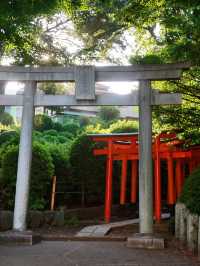 東京4日超全旅行攻略（附出行準備清單