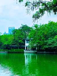 人文和風光融為一體；包公園