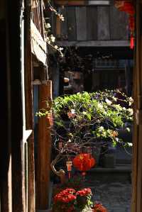 花語·值得等待的愛戀｜以茶聞名·普洱市