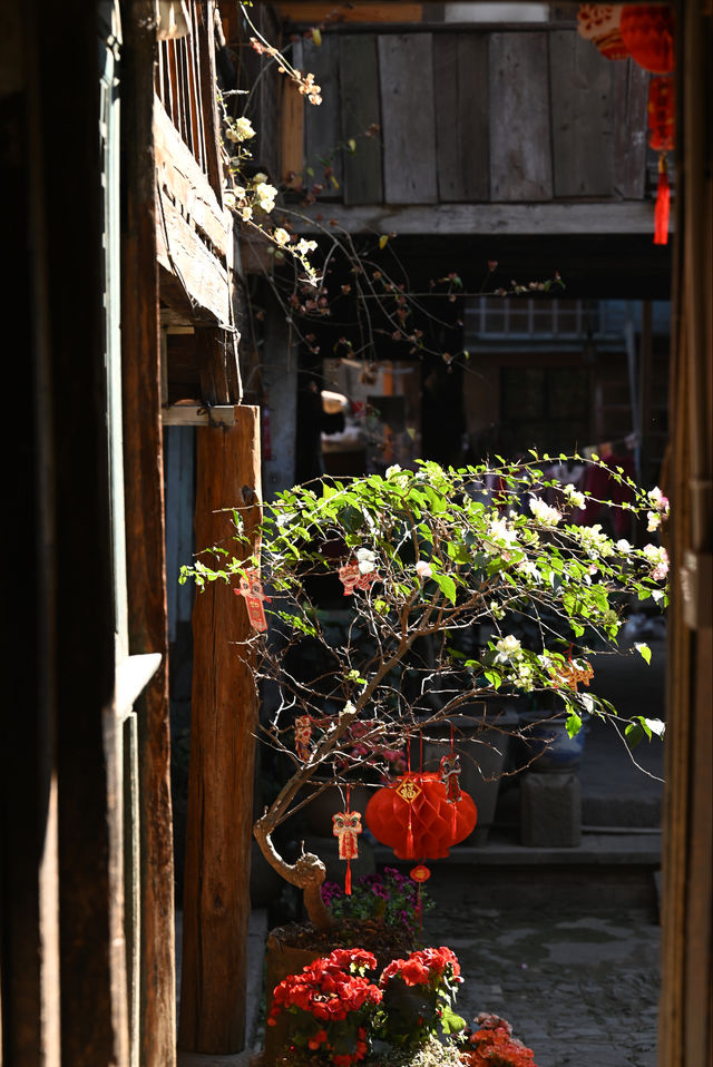 花語·值得等待的愛戀｜以茶聞名·普洱市