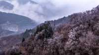 淄博潭溪山霧凇上演現實版冰雪奇緣