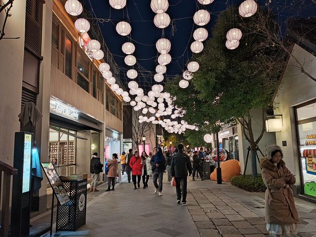 蟠龍天地春節夜景