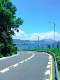 情人節歡迎來到深圳玫瑰海岸 