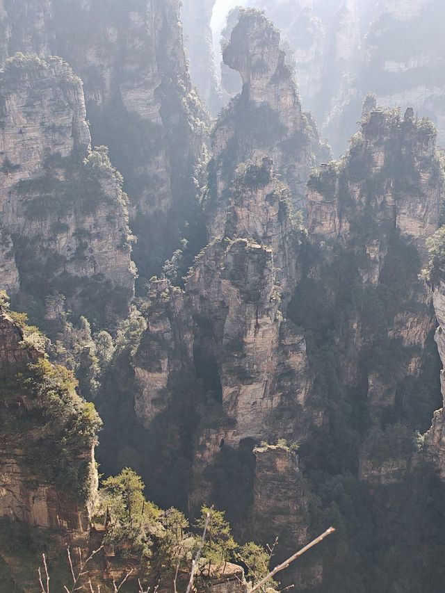 寒假探秘長沙-張家界-鳳凰 古風之旅的正確打開方式