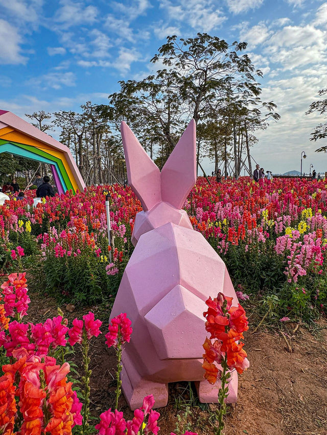 🌸 珠海的夢幻花海 - 花海長廊 🌸