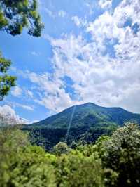 森林之歌：八仙山國家森林遊樂區的自然饗宴