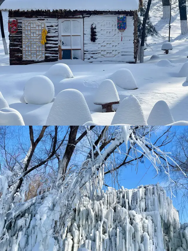 Changchun | A Charming Journey to the Spring City of the North