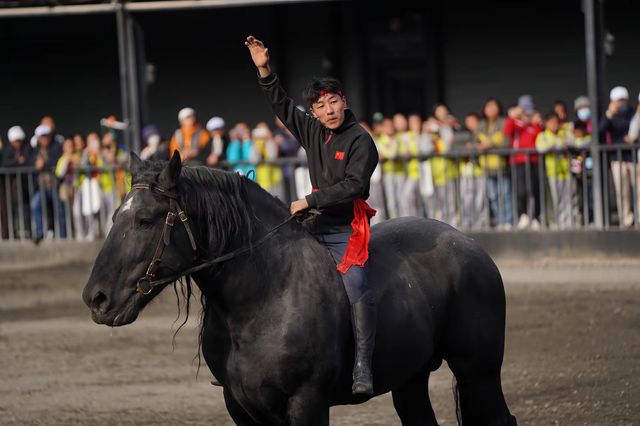太激動!太熱血沸騰了!家人們,去烏魯木齊一定要去這個地方! 太激動!太熱血沸騰了!家人們,去烏魯木齊一定要去這個地方!