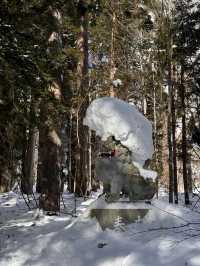 日本賞雪小眾目的地長野戶隱神社全攻略