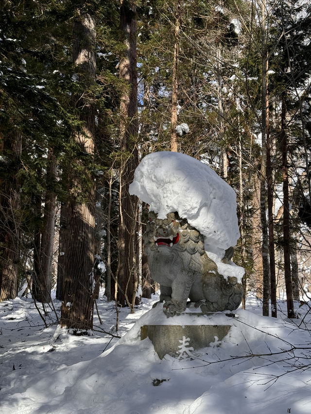 日本賞雪小眾目的地長野戶隱神社全攻略