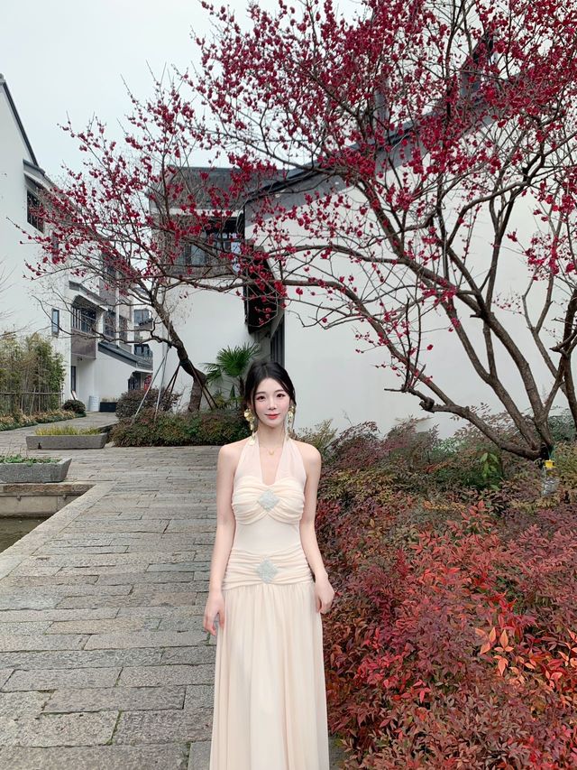 梅花已開遍江南,入住嘉興的江南水鄉 梅花已開遍江南,入住嘉興的江南水鄉