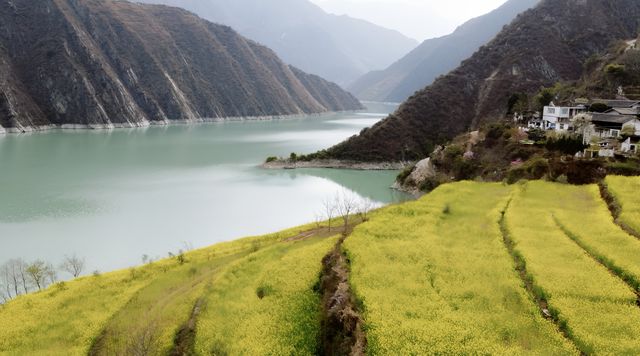 2025隴南春日限定｜隴南油菜花保姆級攻略！