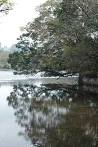 誤入廣州春日綠野仙蹤，邂逅現實版愛麗絲仙境