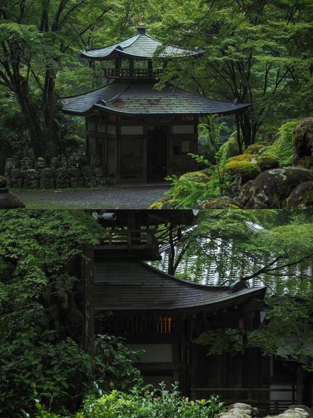 遍地表情包，這大概是京都最可愛的寺廟！